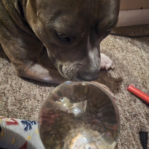 Very large crystal ball